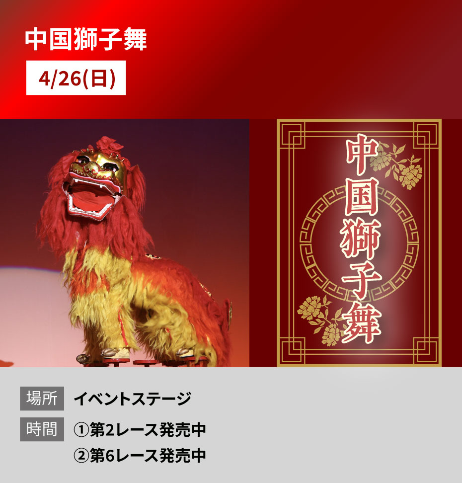 概要:中国獅子舞