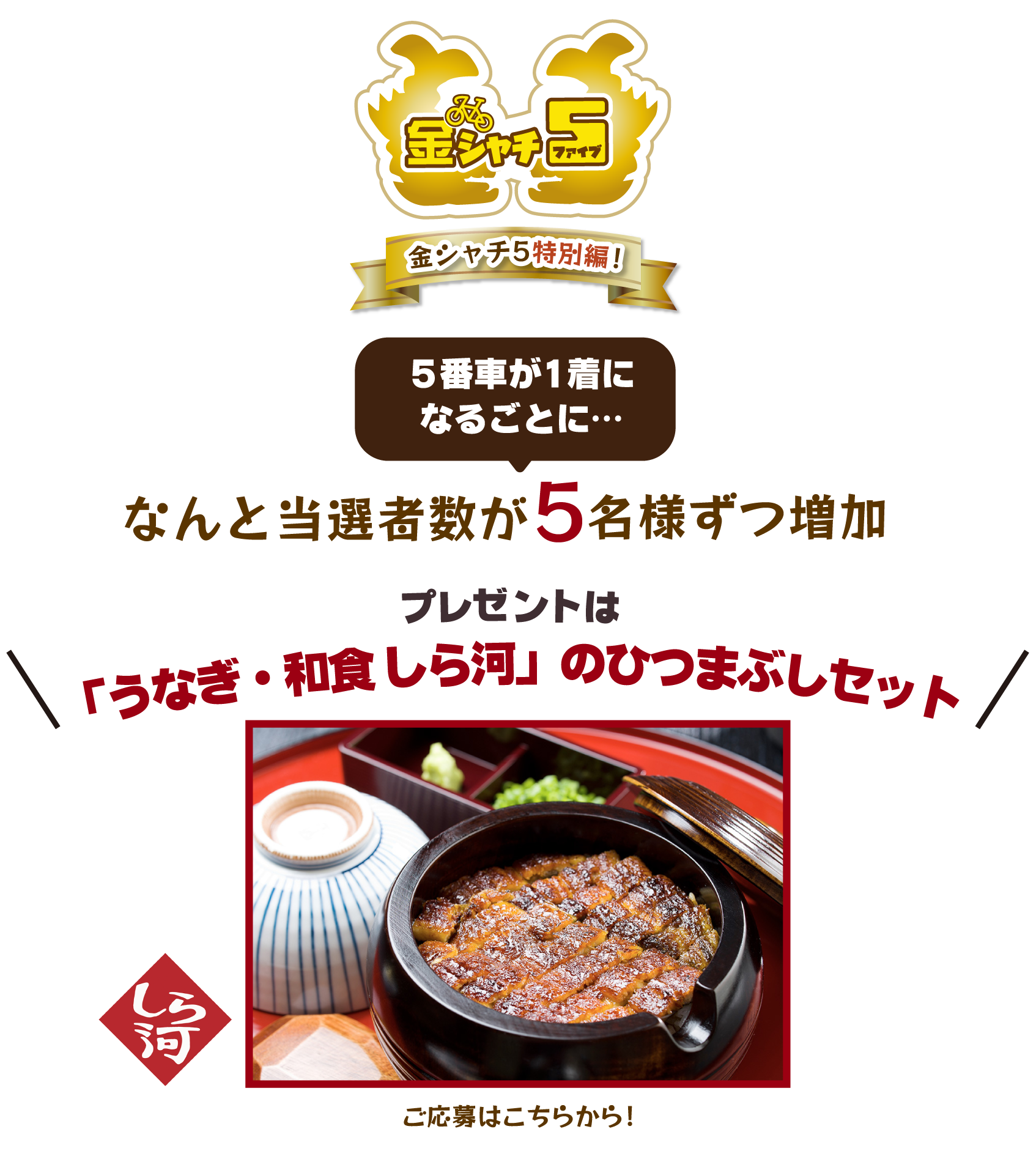 金シャチ5特別編！